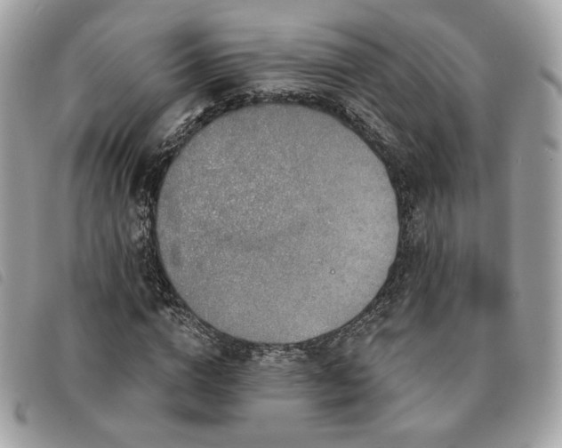 X0000091530824200708171218