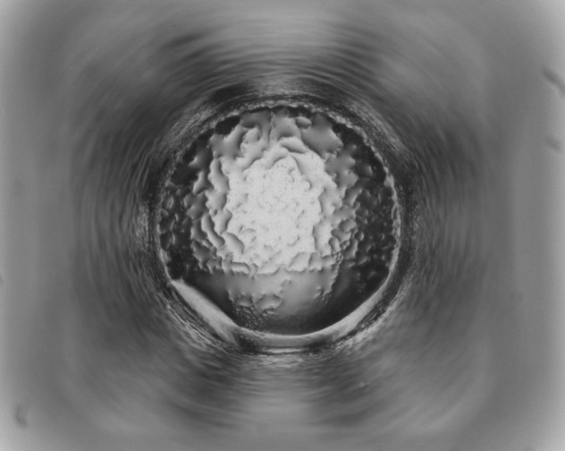 X0000091530825200708171218