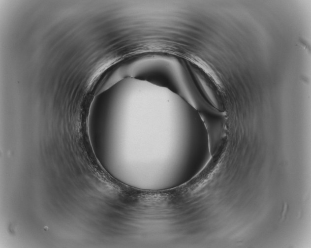 X0000091530826200708171218