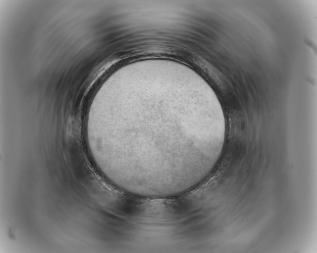 X0000091530828200708171219