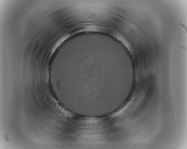 X0000091530829200708171219