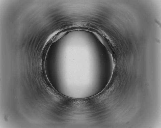 X0000091530830200708171219