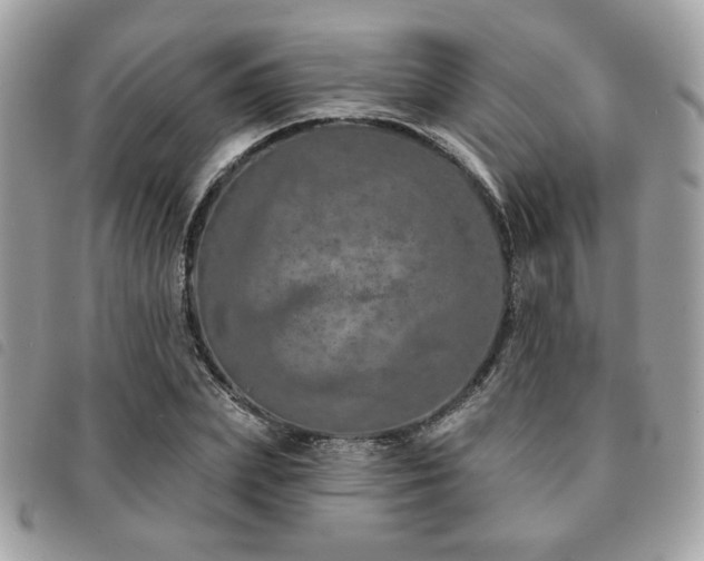 X0000091530831200708171219