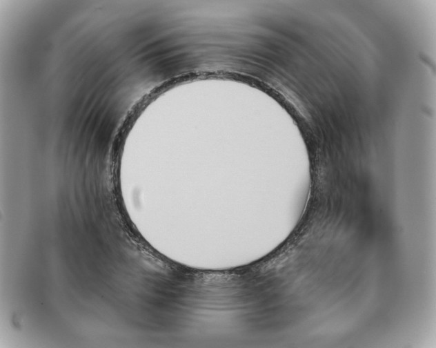 X0000091530832200708171219
