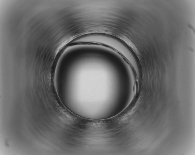 X0000091530834200708171219