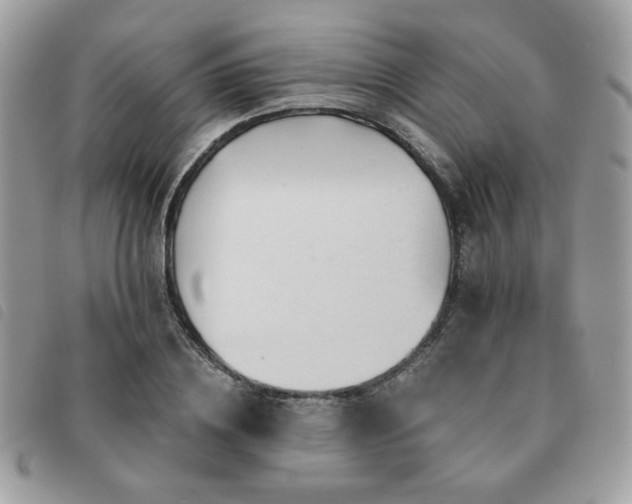 X0000091530836200708171219