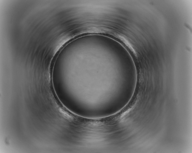X0000091530837200708171219