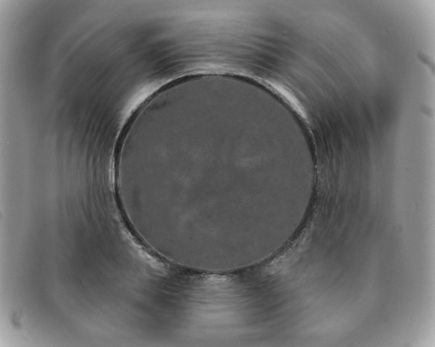 X0000091530839200708171219