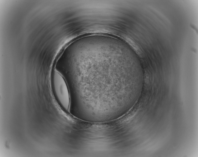X0000091530840200708171219