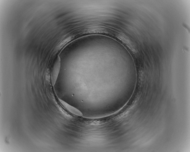 X0000091530841200708171219