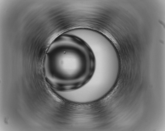 X0000091530842200708171219