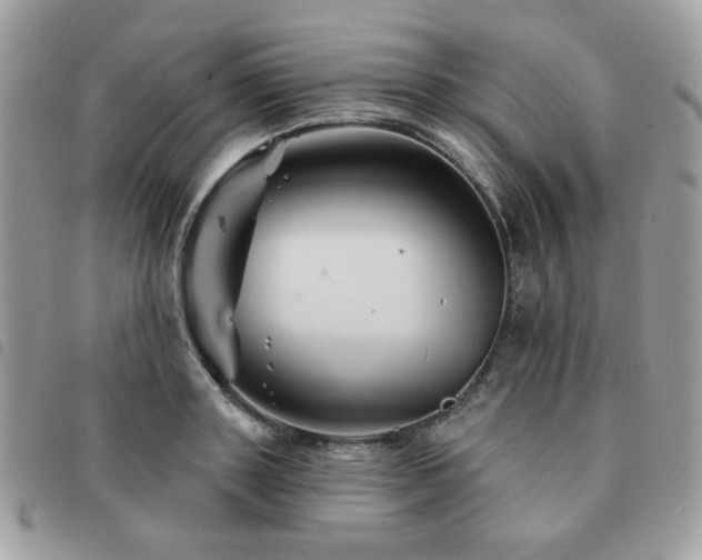 X0000091530843200708171219