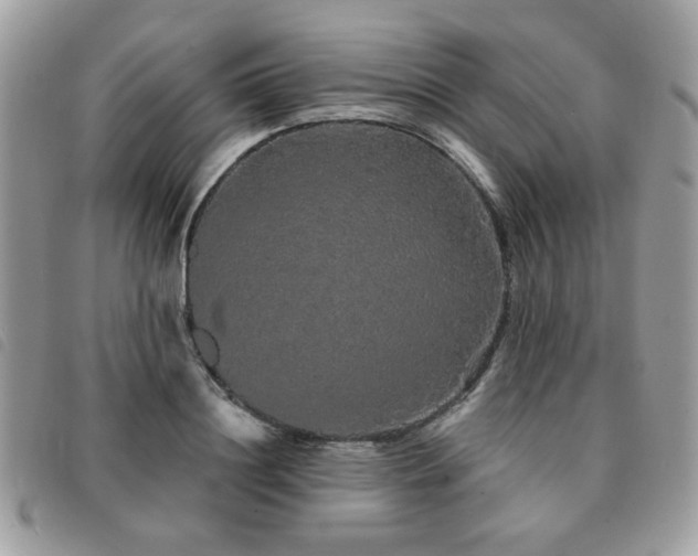 X0000091530844200708171219