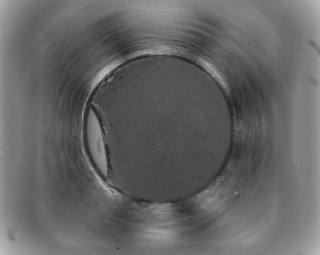 X0000091530845200708171219