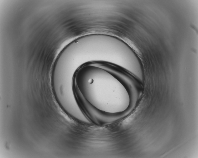 X0000091530846200708171219