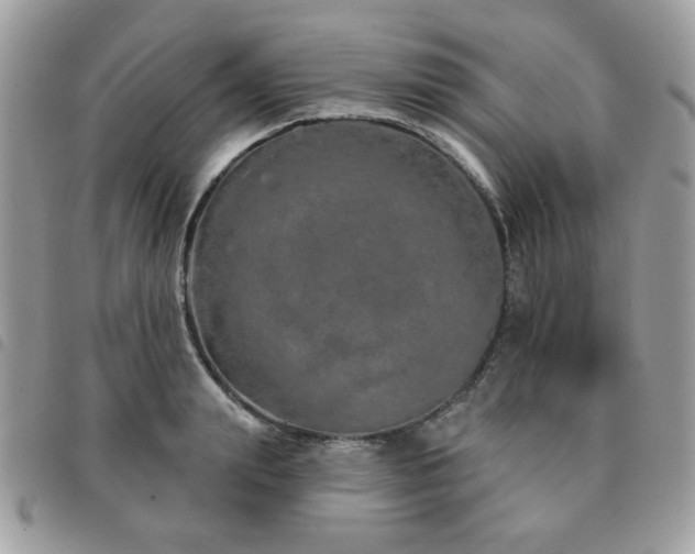 X0000091530847200708171219