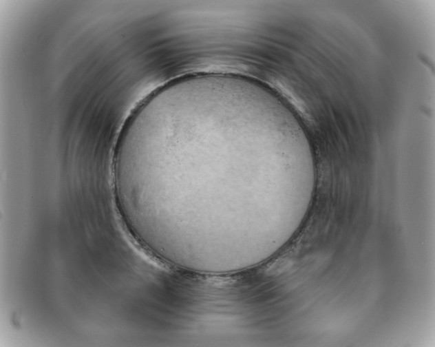 X0000091530848200708171219
