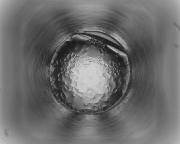 X0000091530849200708171219