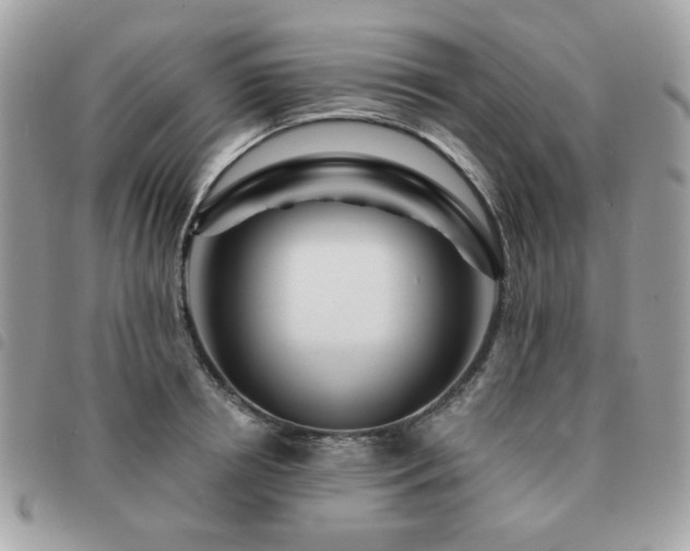 X0000091530850200708171219