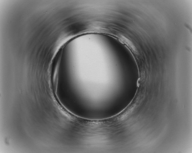 X0000091530854200708171219