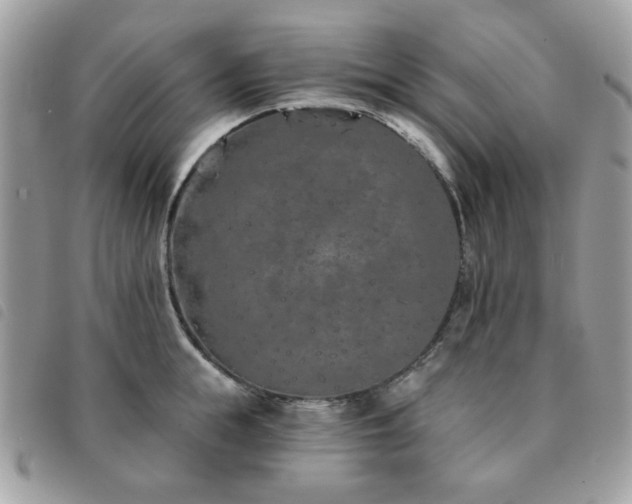 X0000091530855200708171219