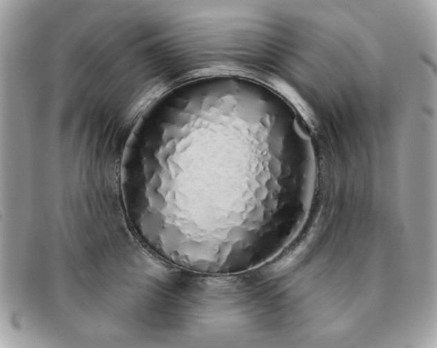 X0000091530857200708171219