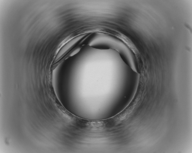 X0000091530858200708171219