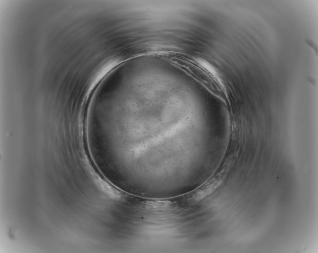 X0000091530859200708171219