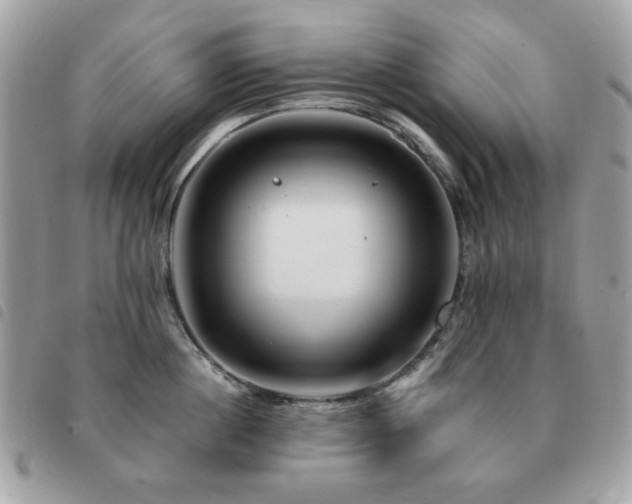 X0000091530860200708171219
