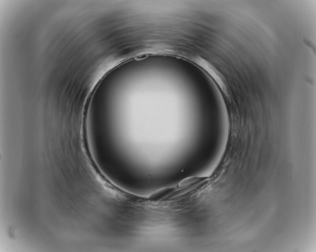 X0000091530861200708171219