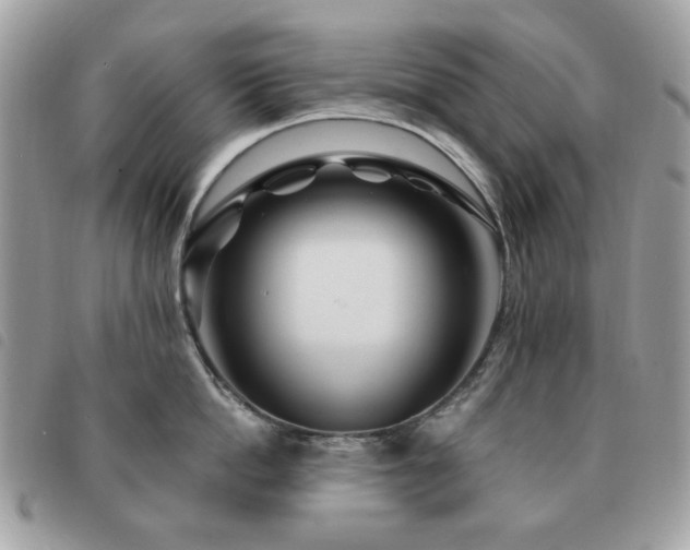 X0000091530862200708171219