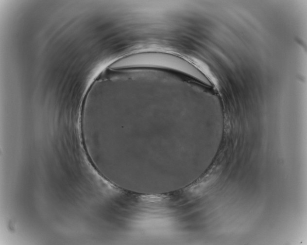 X0000091530863200708171219