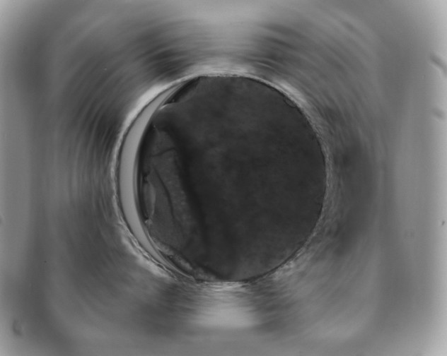X0000091530864200708171219