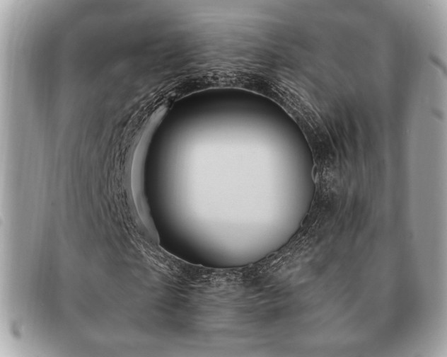 X0000091530865200708171218