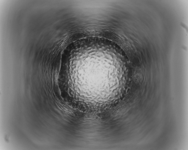X0000091530866200708171218