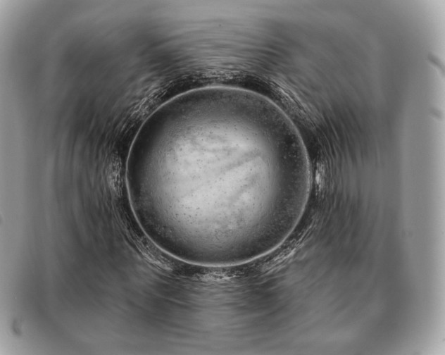 X0000091530867200708171218