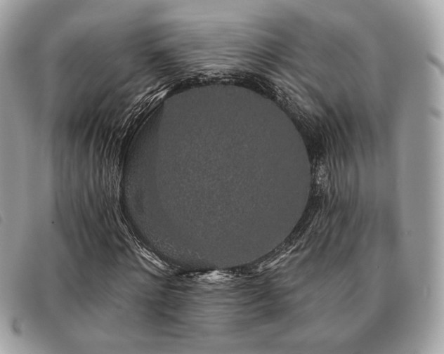 X0000091530868200708171218