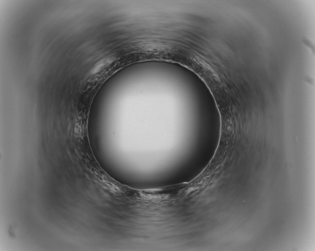 X0000091530869200708171218