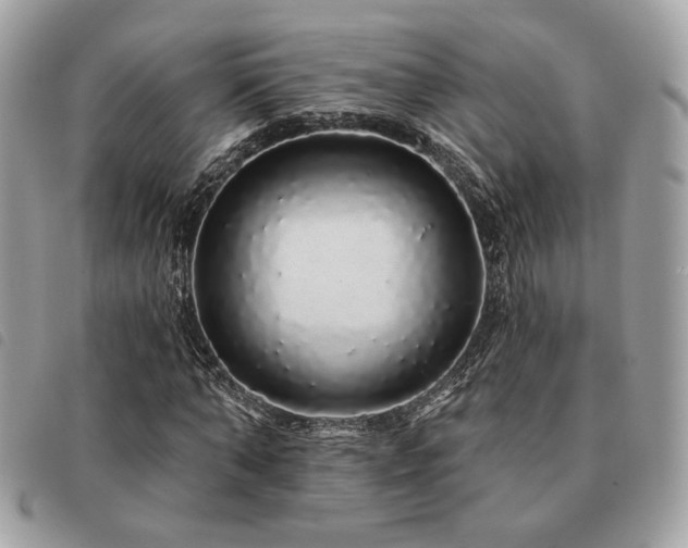 X0000091530870200708171218