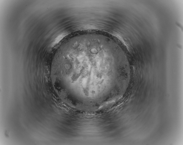 X0000091530871200708171218