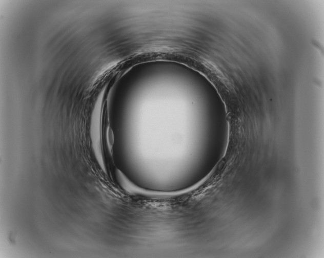 X0000091530872200708171218