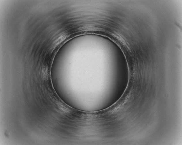 X0000091530873200708171218