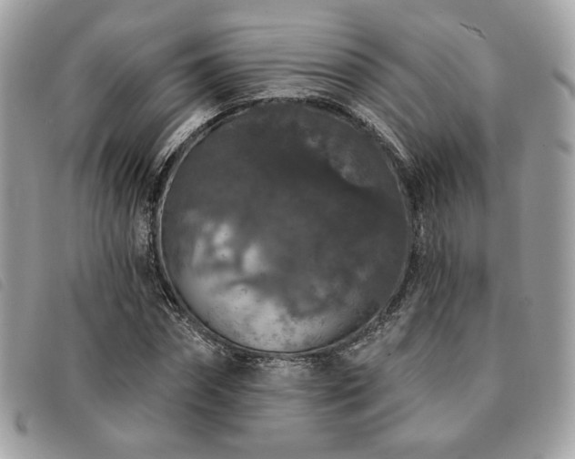 X0000091530874200708171218