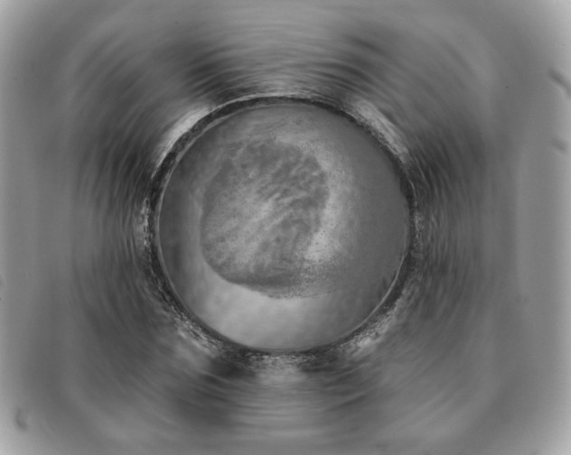 X0000091530875200708171218