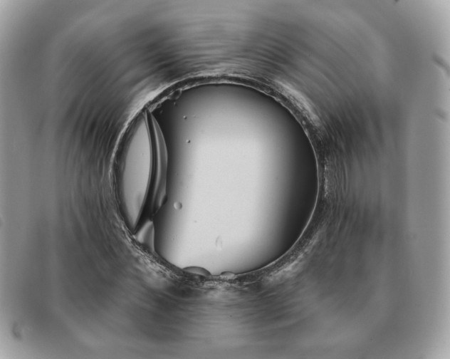 X0000091530876200708171218