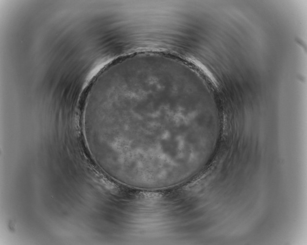 X0000091530878200708171218
