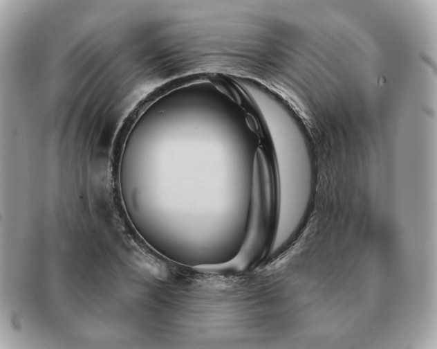 X0000091530880200708171218