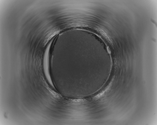 X0000091530881200708171218