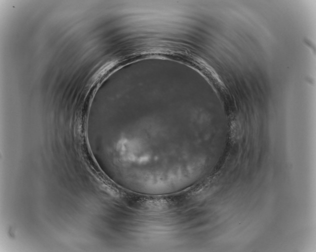 X0000091530882200708171218