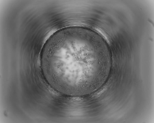 X0000091530883200708171218